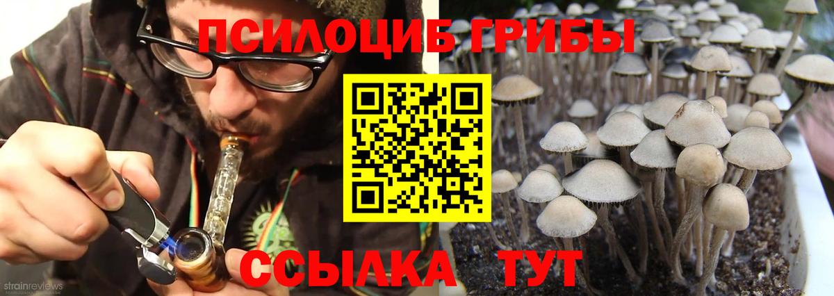 Галлюциногенные грибы Psilocybe  Вход с VPN  Псилоцибиновые грибы Magic Shrooms  где купить наркоту  Дятьково 